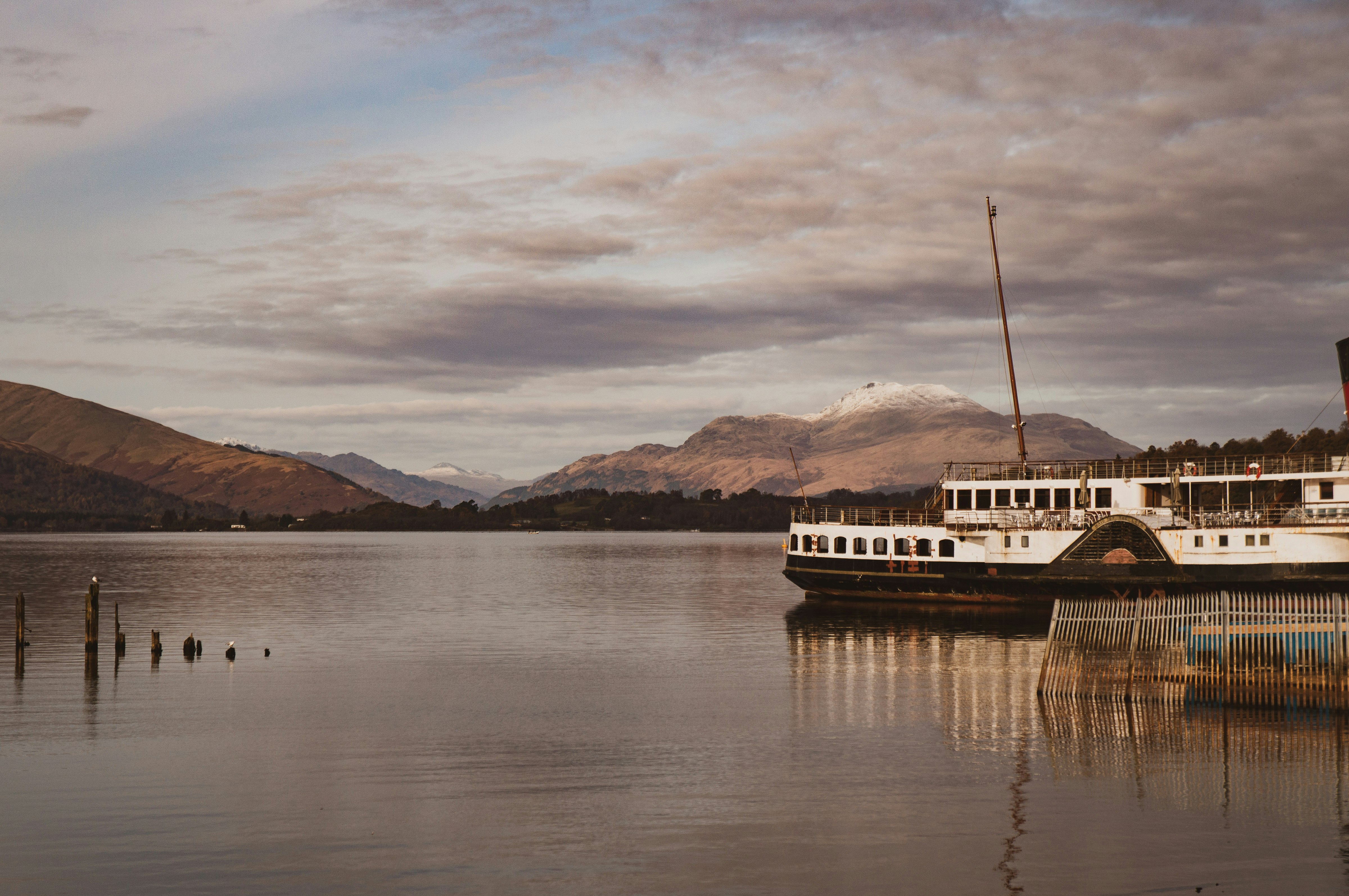 white cruise ship on body of water